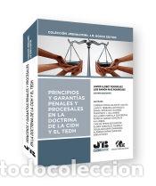 books: Principios y garant&iacute;as penales y procesales en la doctrina de la CIDH y el TEDH - Boza, Giselle;