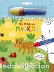 Libros: PINTO CON AGUA - LA NATURALEZA - BALLON - Foto 1