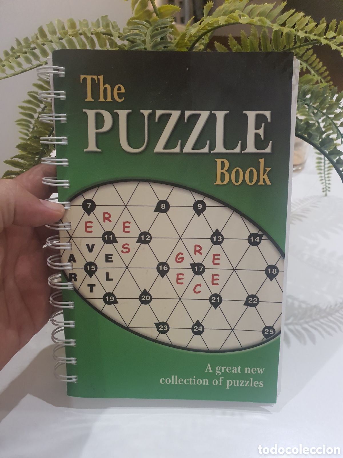 B&uuml;cher: Libro puzlle autodefinidos crucigramas The Puzzle Book (Spiral Crosswords)