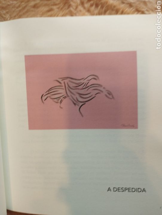 Libros: Contos sin importancia - Foto 4