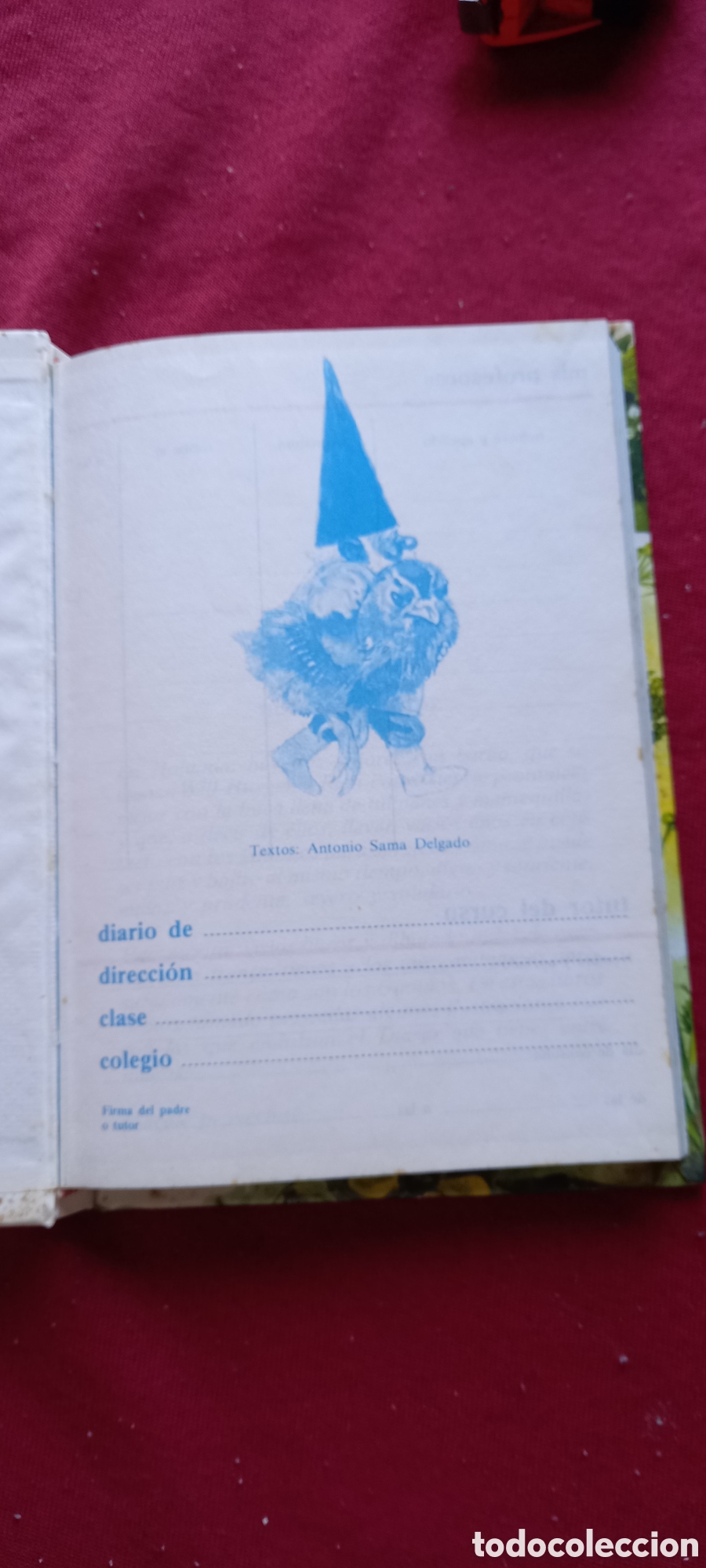 Libros: DIARIO DE LOS GNOMOS - Foto 8