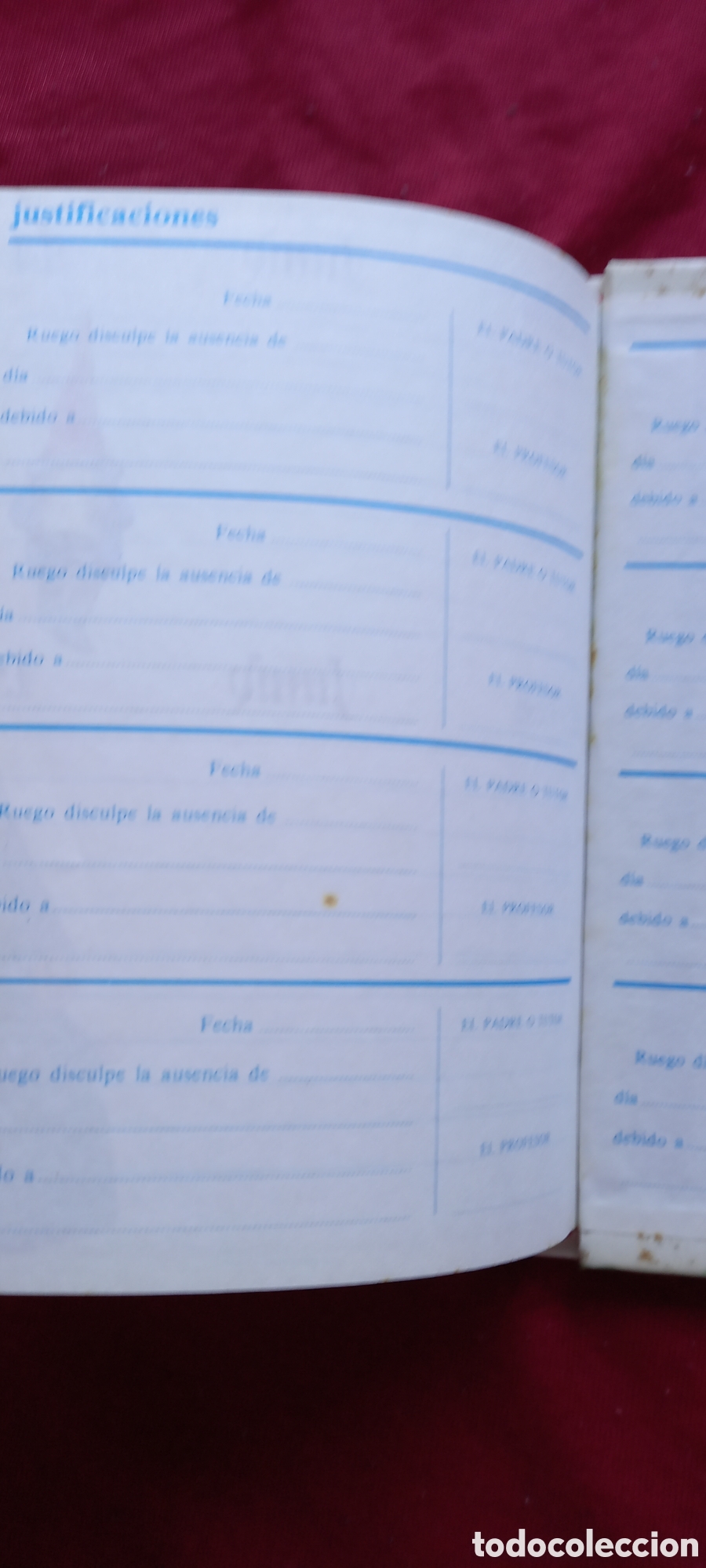 Libros: DIARIO DE LOS GNOMOS - Foto 9
