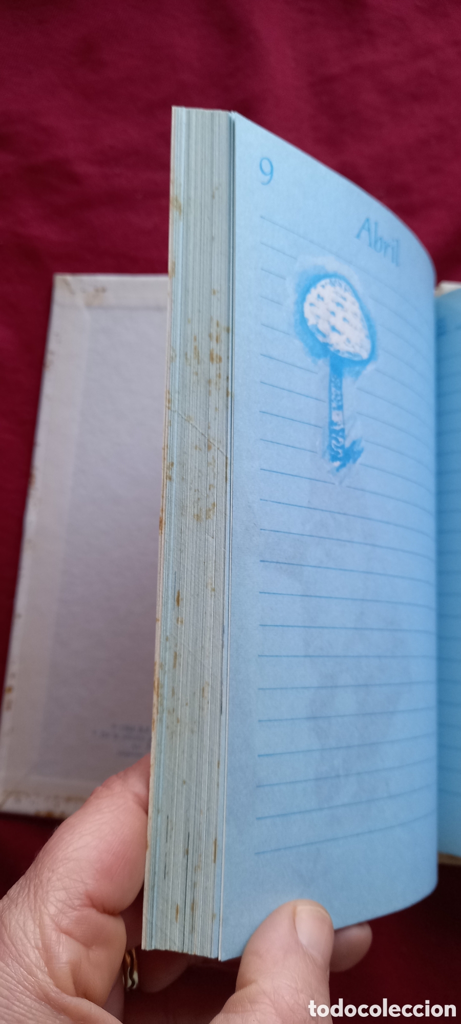 Libros: DIARIO DE LOS GNOMOS - Foto 10