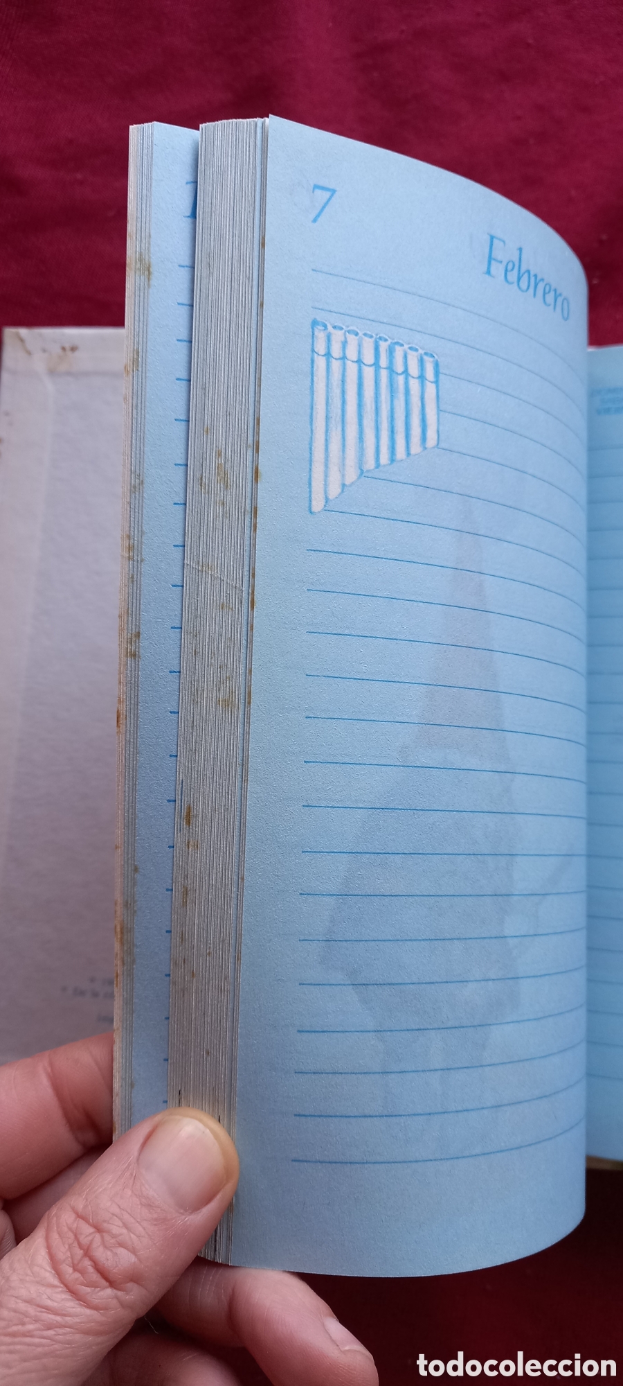 Libros: DIARIO DE LOS GNOMOS - Foto 11