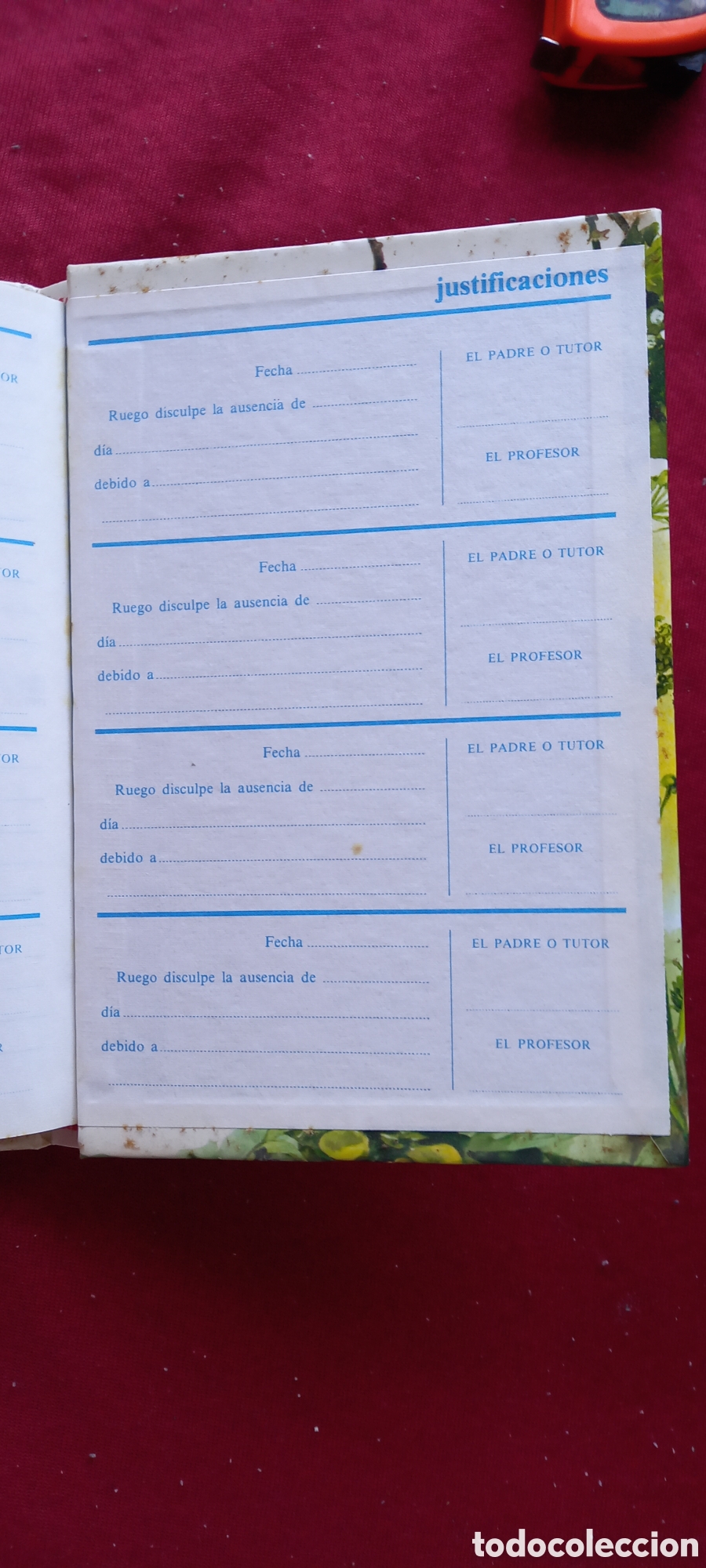 Libros: DIARIO DE LOS GNOMOS - Foto 12