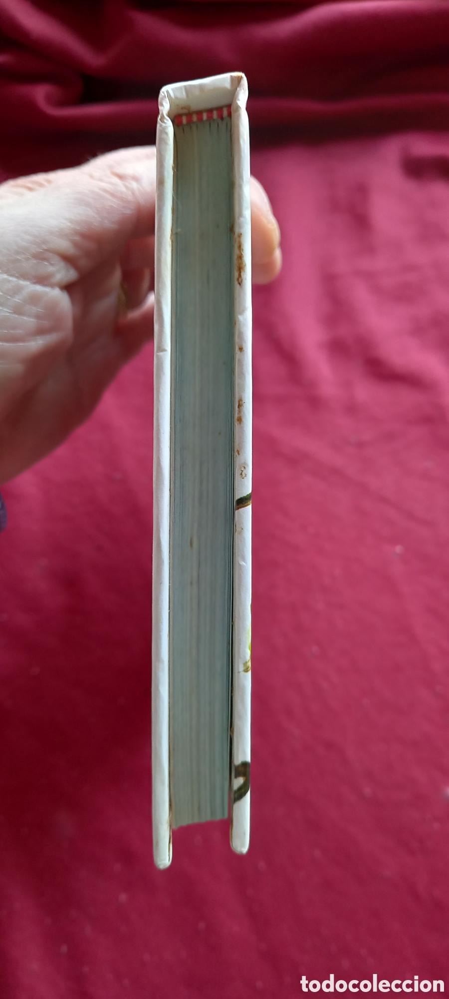 Libros: DIARIO DE LOS GNOMOS - Foto 15