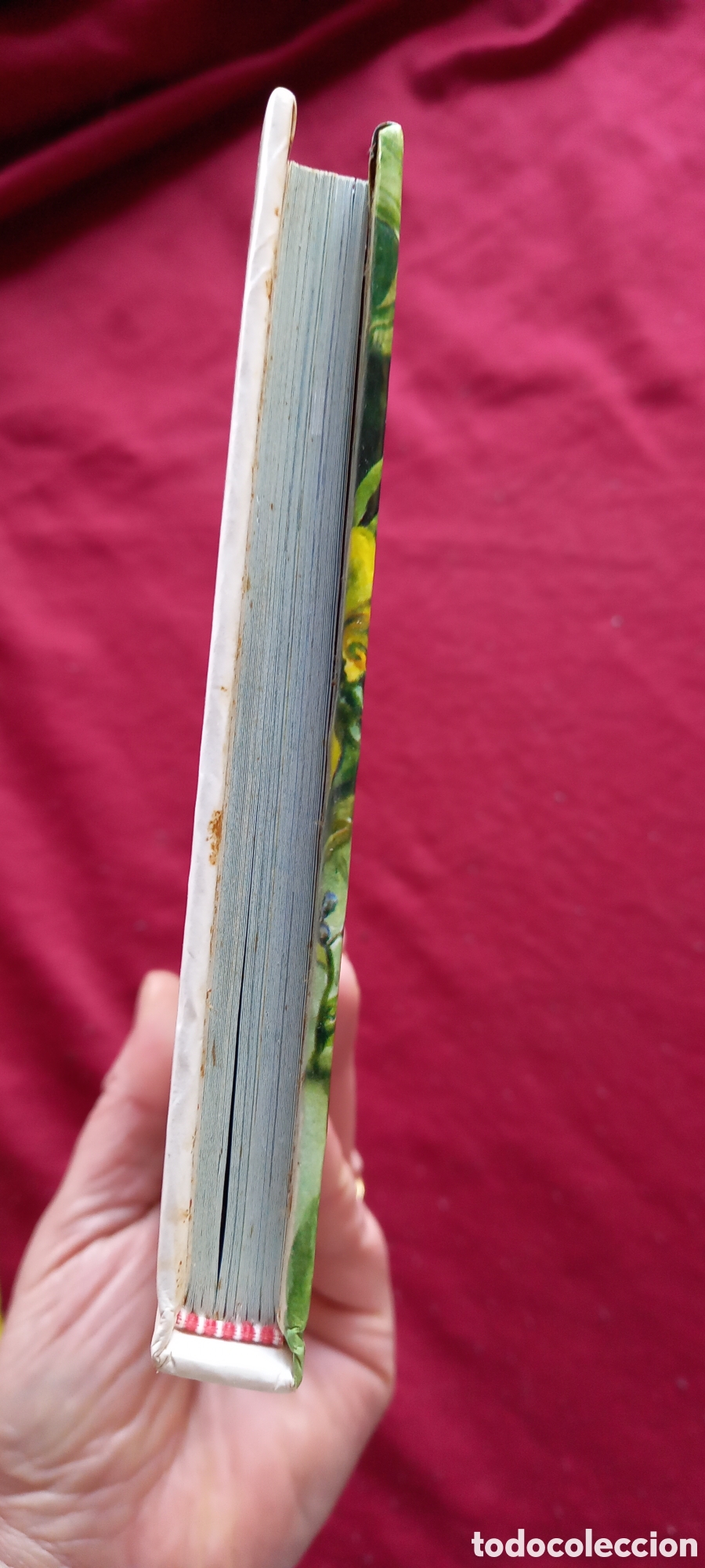 Libros: DIARIO DE LOS GNOMOS - Foto 16