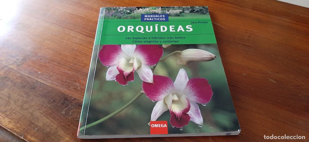 Libros: ORQUIDEAS. C&Oacute;MO ELEGIRLAS Y CUIDARLAS - Foto 1