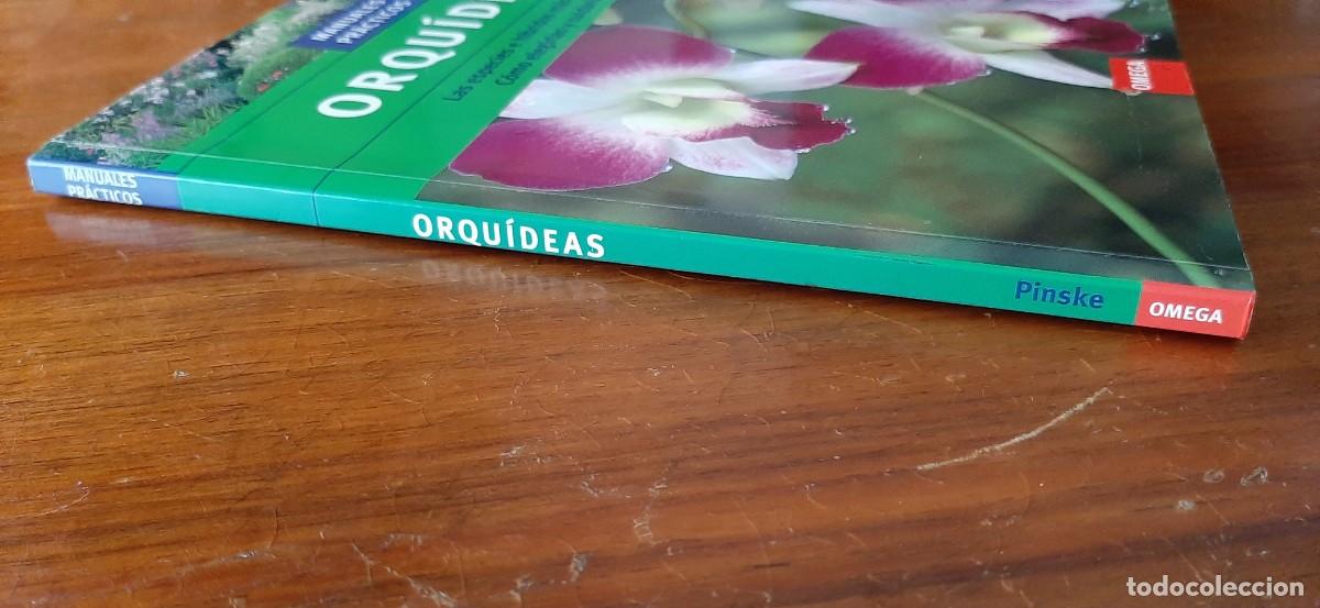 Libros: ORQUIDEAS. C&Oacute;MO ELEGIRLAS Y CUIDARLAS - Foto 2