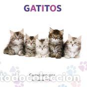 Libros: Calendario Gatitos 2024 - AA. VV. - Foto 1
