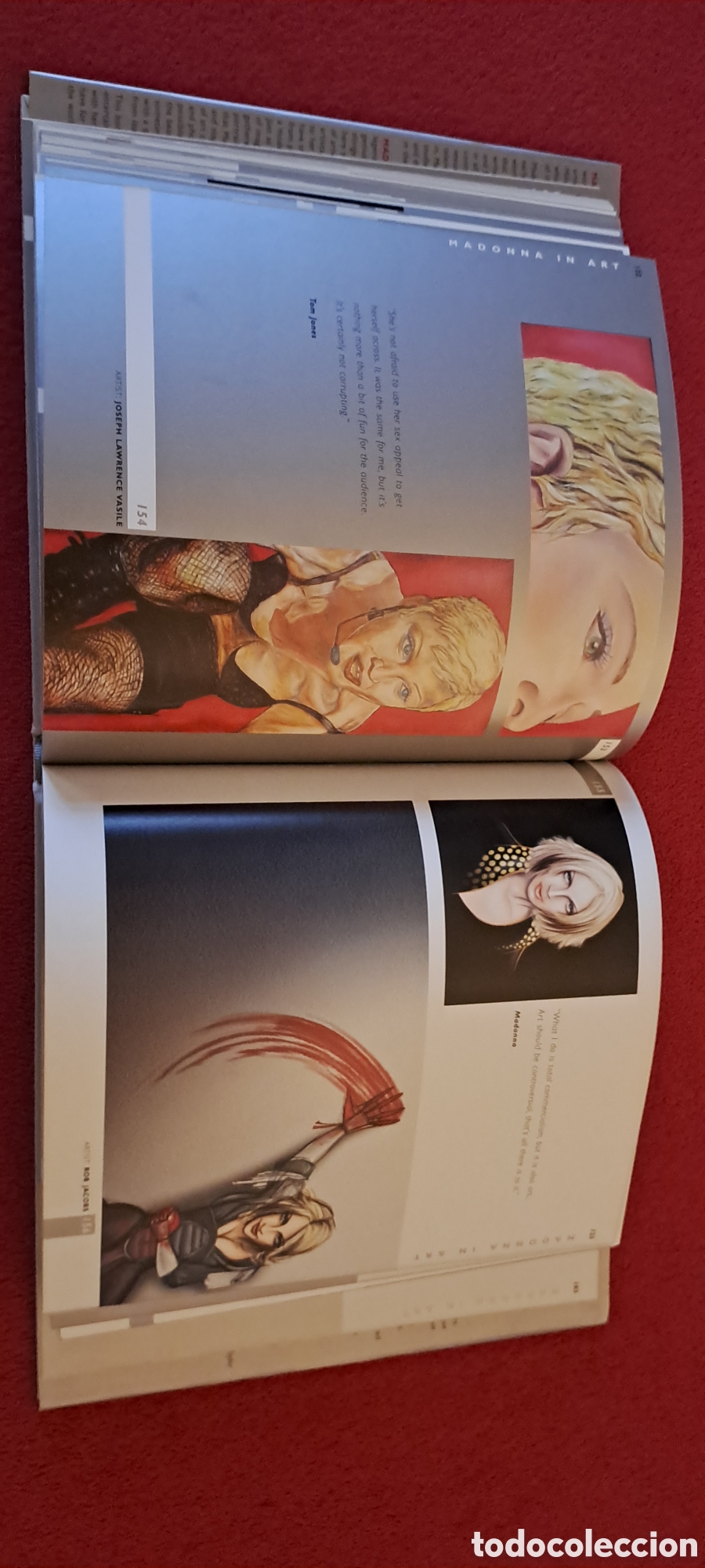 Libros: LIBRO &rdquo;MADONNA IN ART&rdquo; - Foto 12