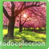 Libros: Primavera - AA.VV. - Foto 1