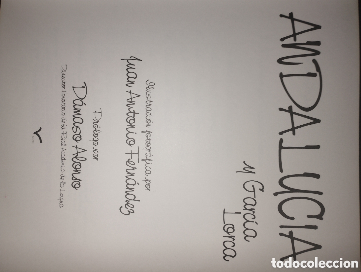 Libros: Andaluc&iacute;a y M.Garcia Lorca - Foto 2
