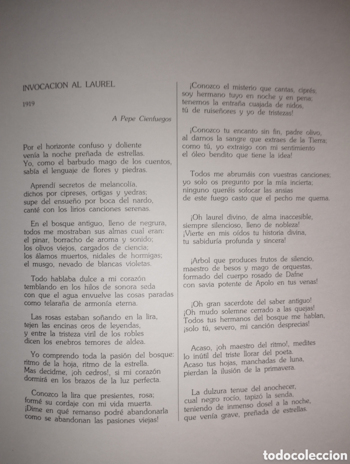 Libros: Andaluc&iacute;a y M.Garcia Lorca - Foto 6