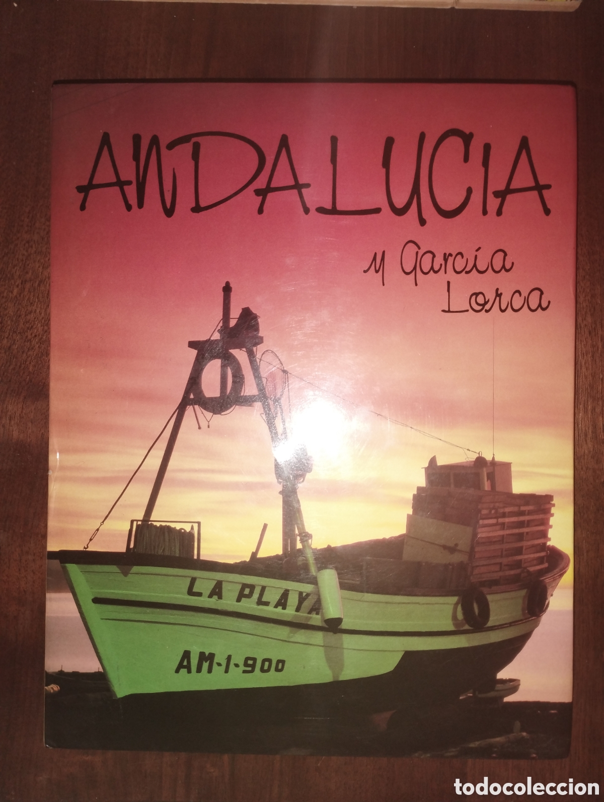 Libros: Andaluc&iacute;a y M.Garcia Lorca - Foto 1