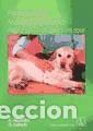 B&uuml;cher: Fisioterapia: Masaje del perro. Mejora dela movilidad y del dolor - A. Mauring y G. Lutsch