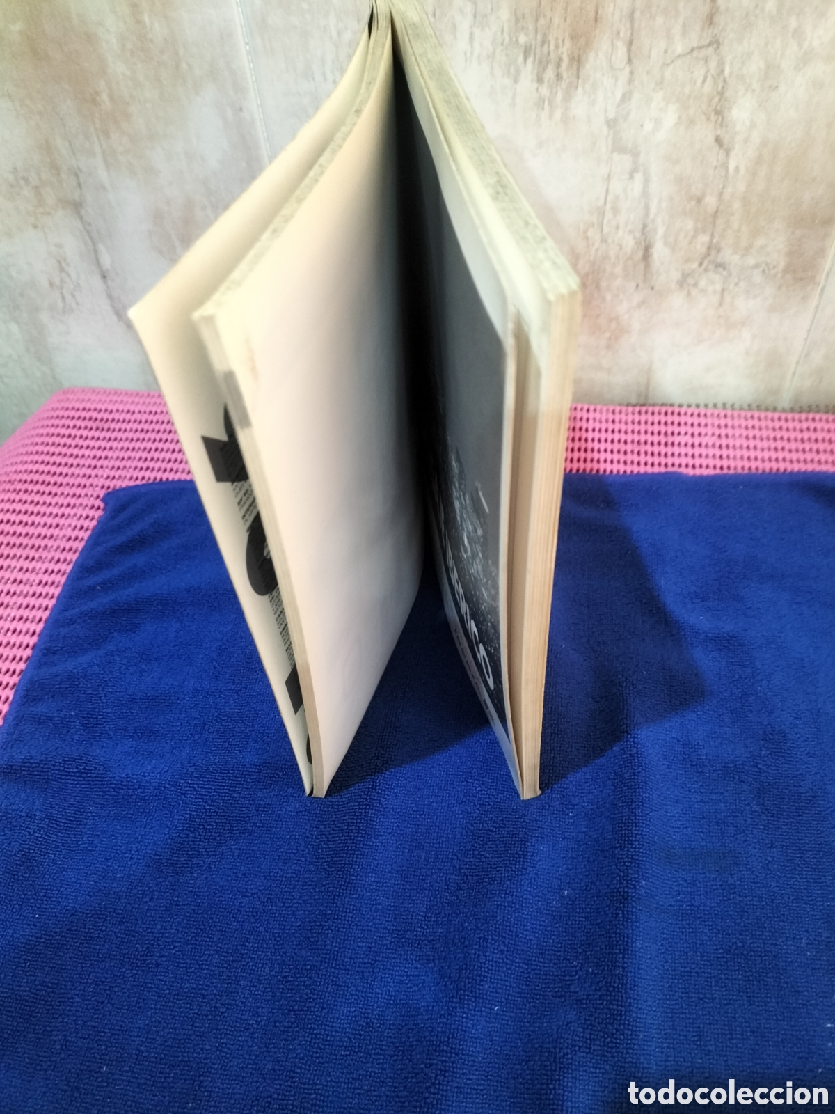 Libros: Sal&oacute;n del caballo , Comunidad Valenciana. - Foto 3