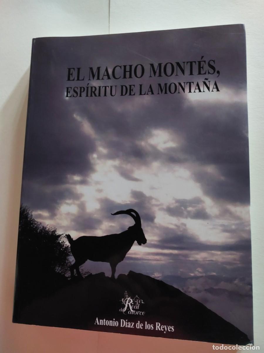 Libros: EL MACHO MONTES ESPIRITU DE LA MONTA&Ntilde;A CAZA - Foto 1