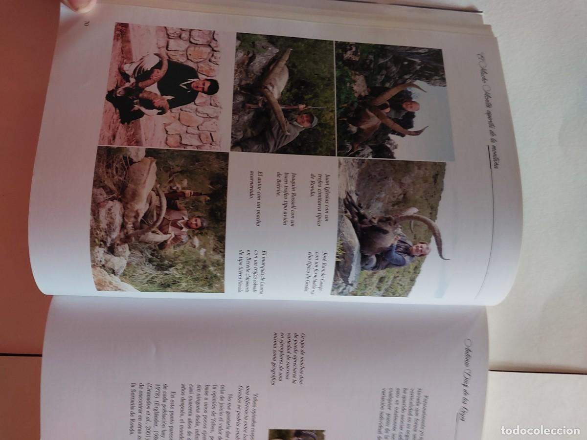 Libros: EL MACHO MONTES ESPIRITU DE LA MONTA&Ntilde;A CAZA - Foto 2
