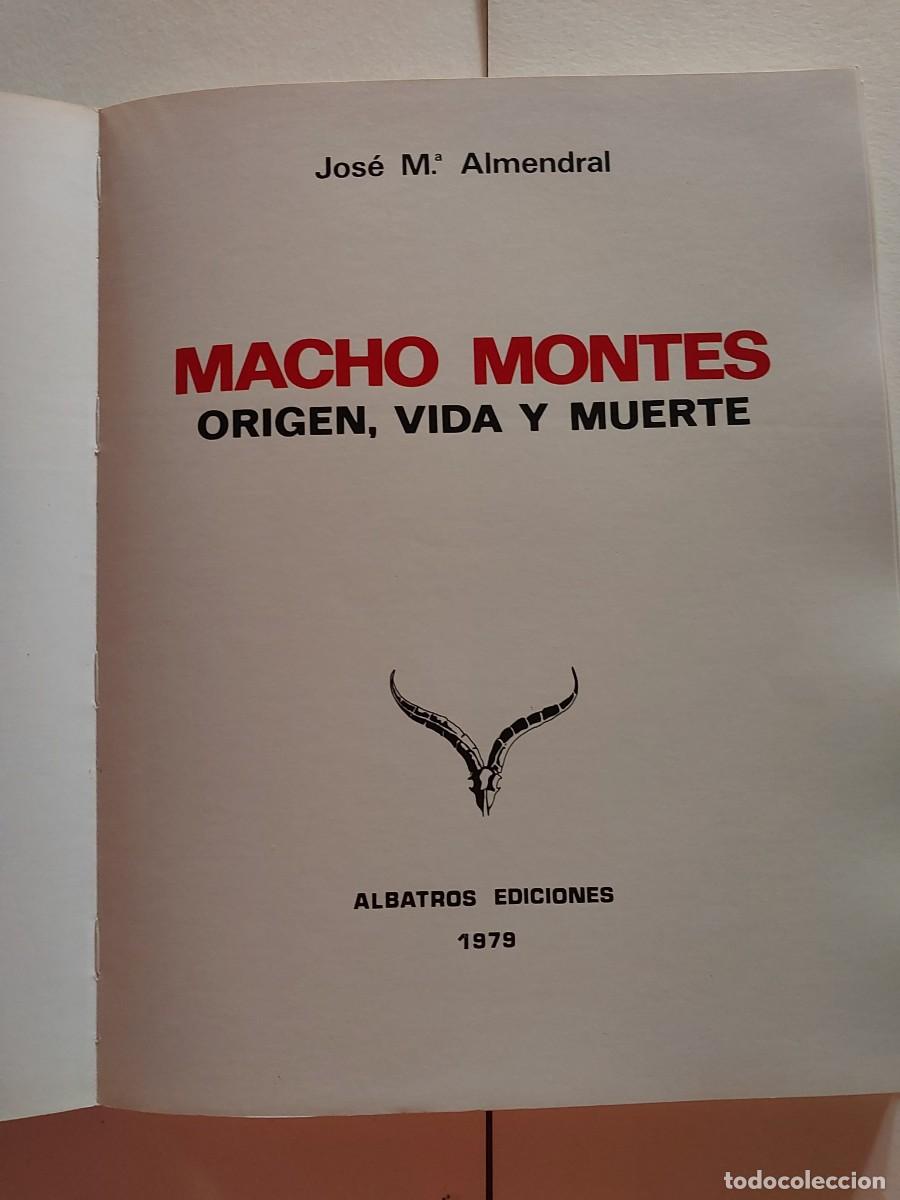 Libros: MACHO MONTES ORIGEN VIDA Y MUERTE CAZA - Foto 1