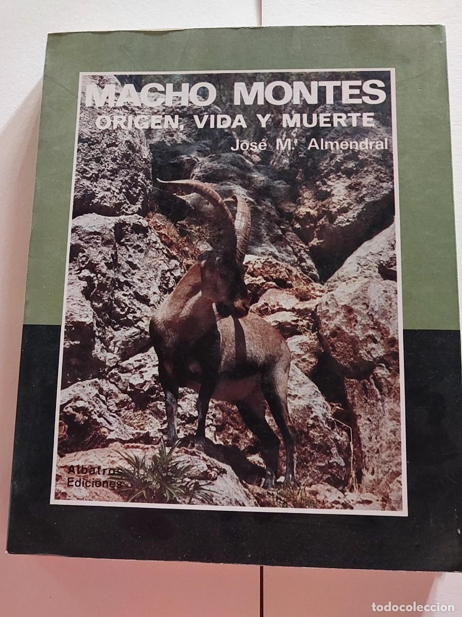 Libros: MACHO MONTES ORIGEN VIDA Y MUERTE CAZA - Foto 2