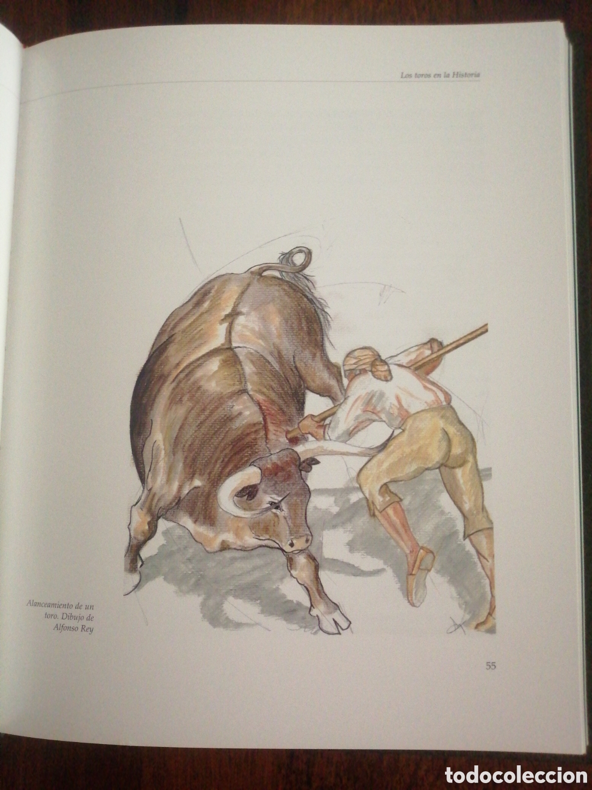 Libros: Dos libros sobre toros de lidia - Foto 4