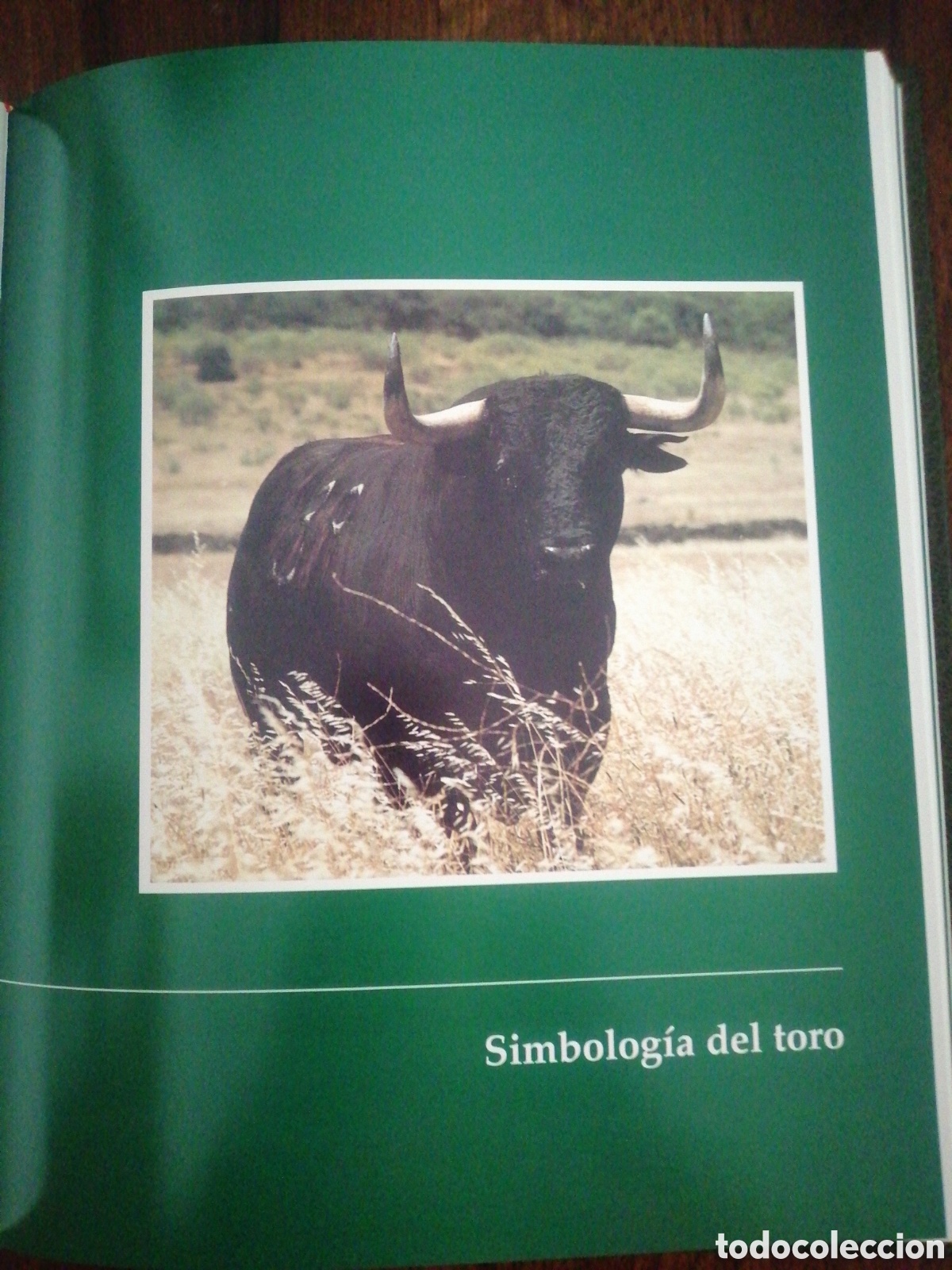 Libros: Dos libros sobre toros de lidia - Foto 5