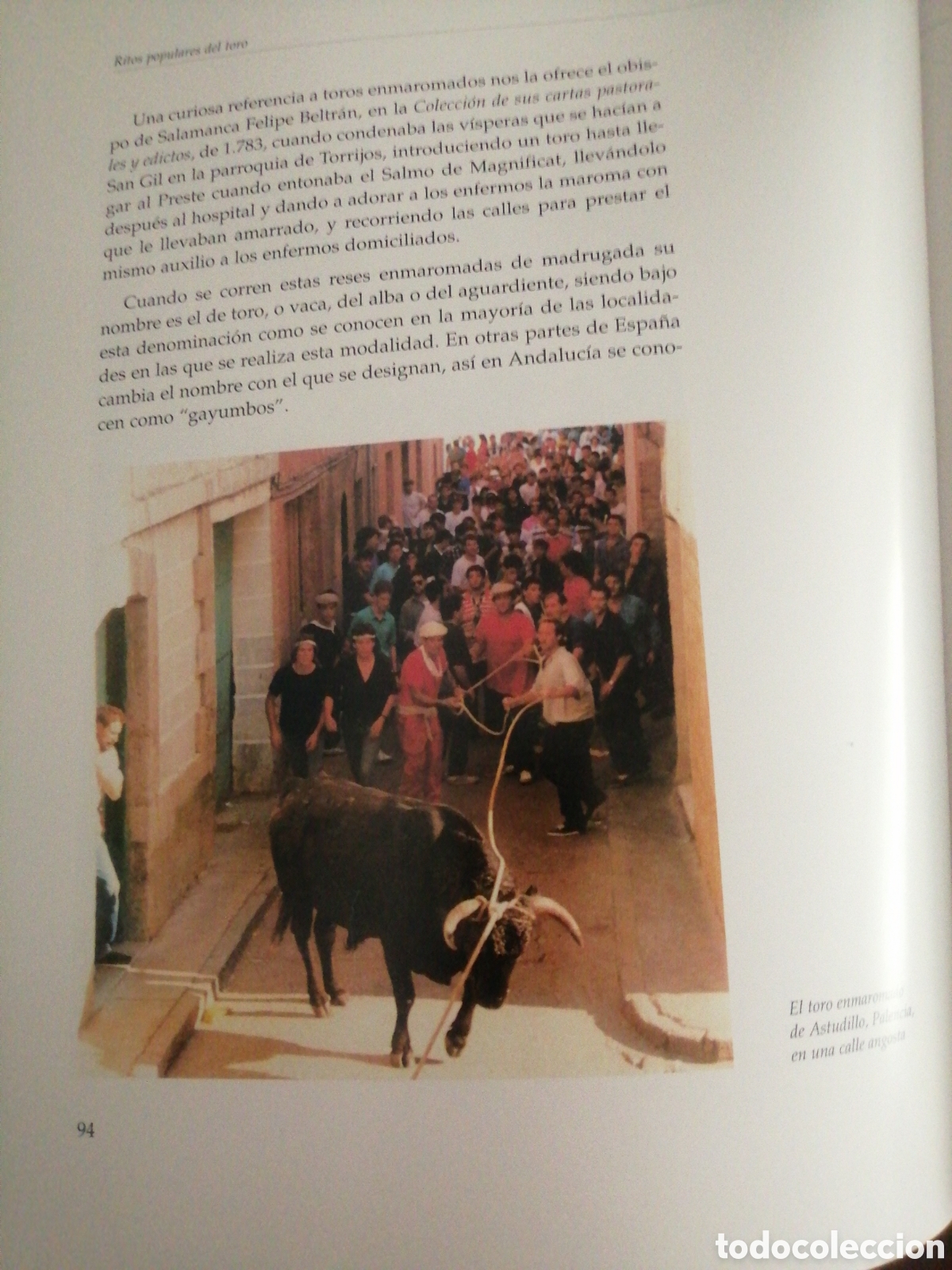 Libros: Dos libros sobre toros de lidia - Foto 6