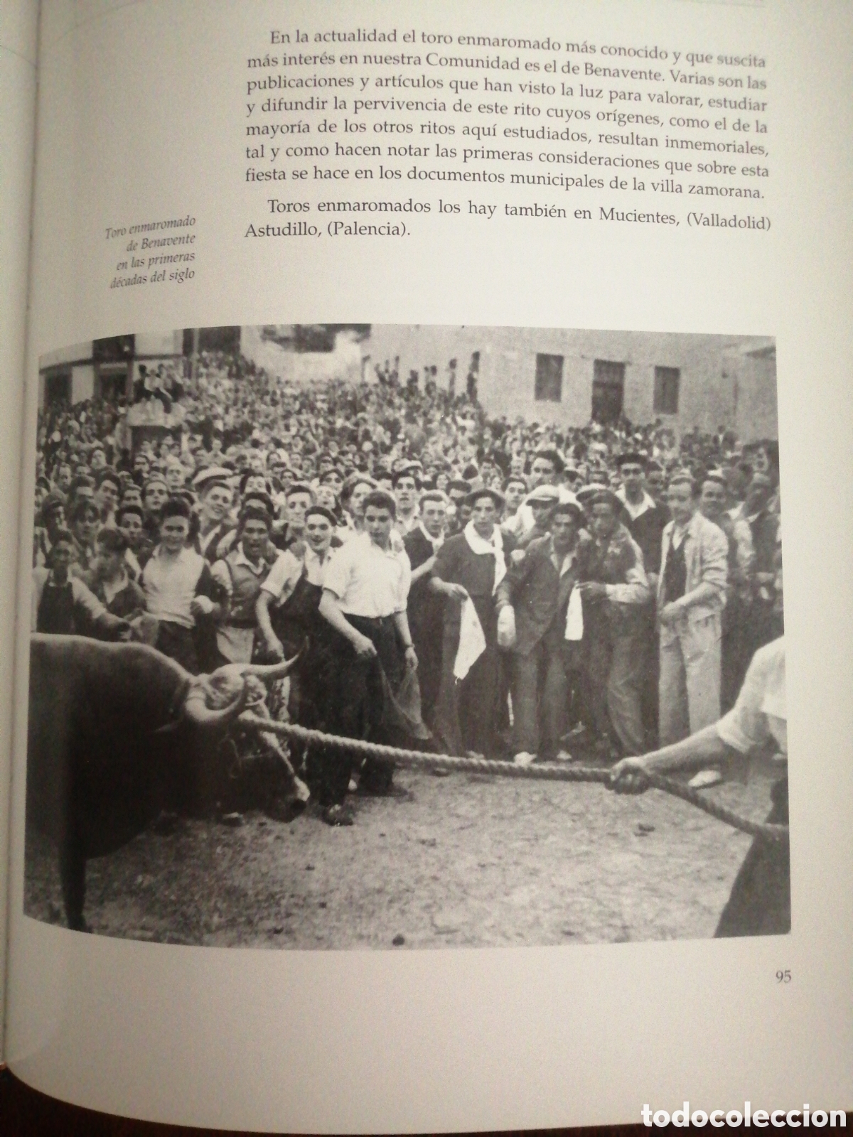 Libros: Dos libros sobre toros de lidia - Foto 7