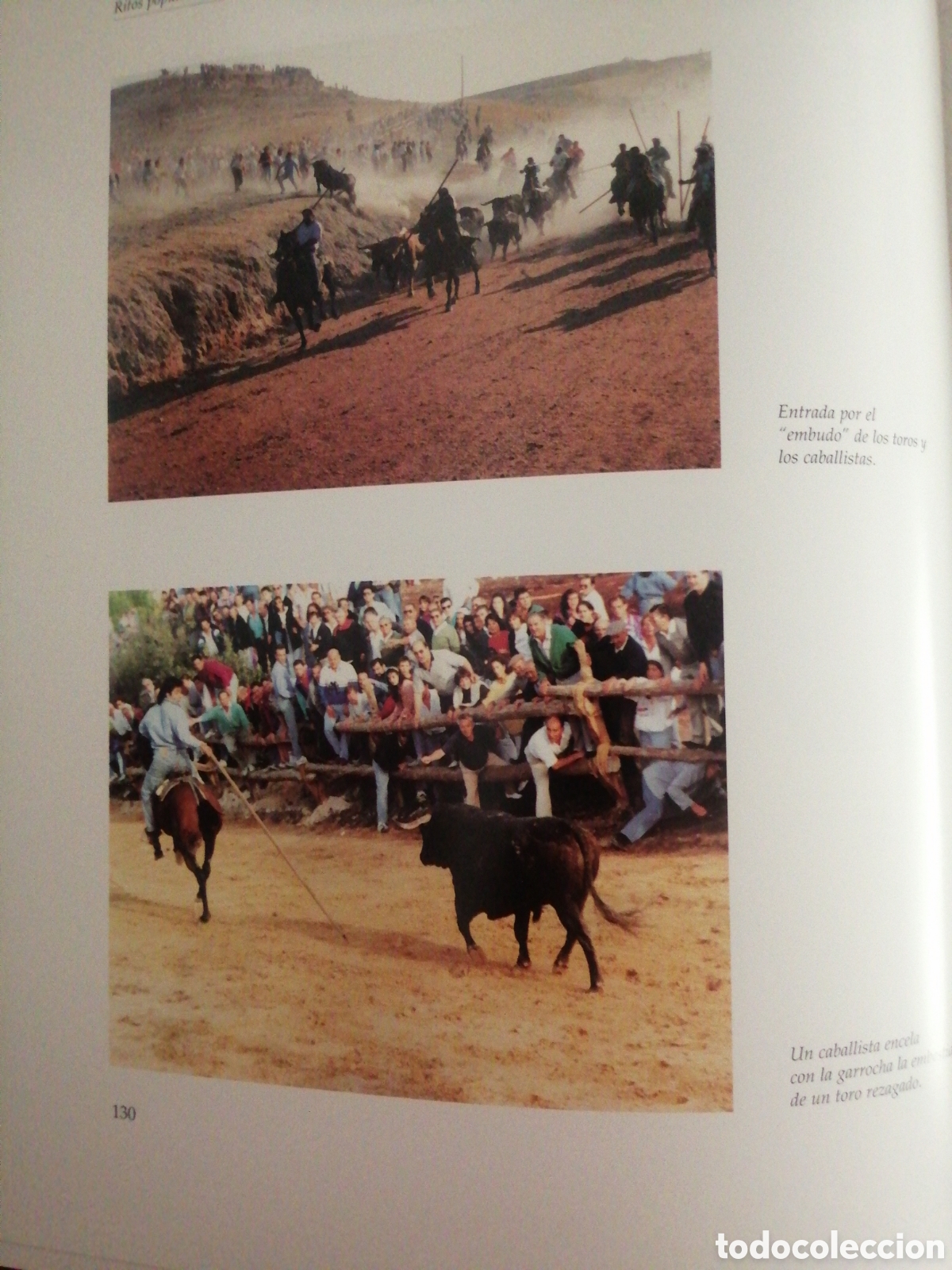 Libros: Dos libros sobre toros de lidia - Foto 8