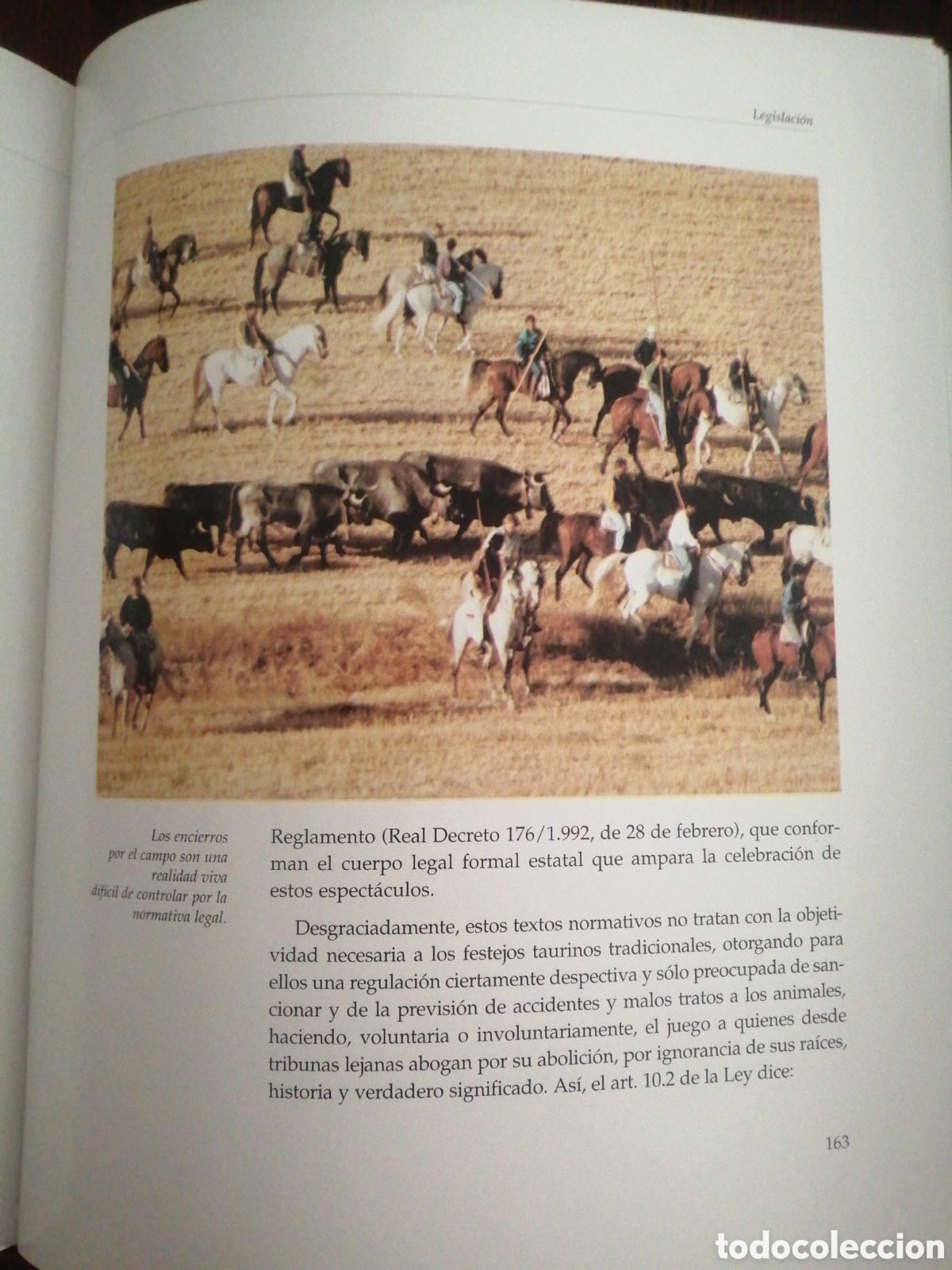 Libros: Dos libros sobre toros de lidia - Foto 10