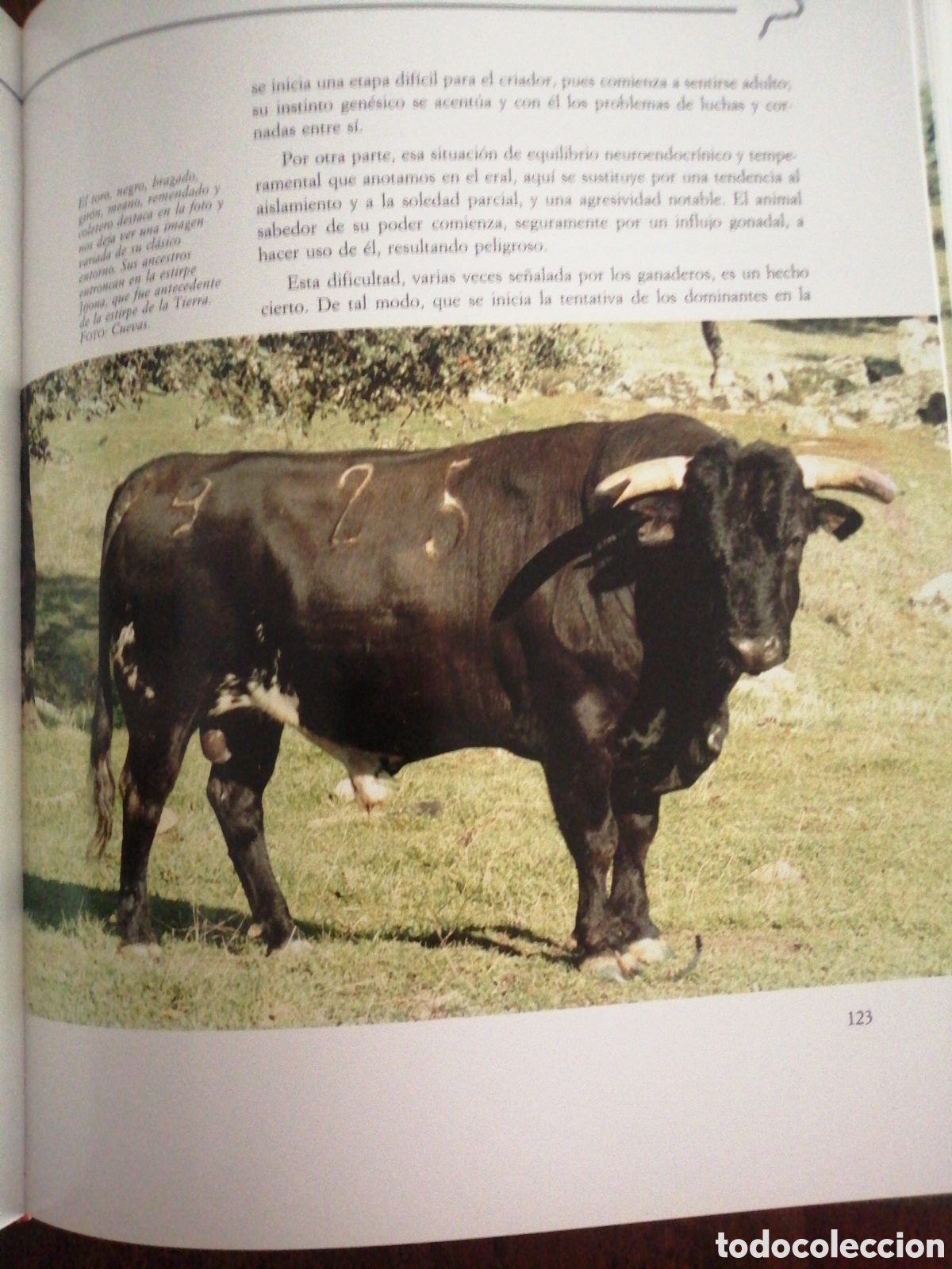 Libros: Dos libros sobre toros de lidia - Foto 16