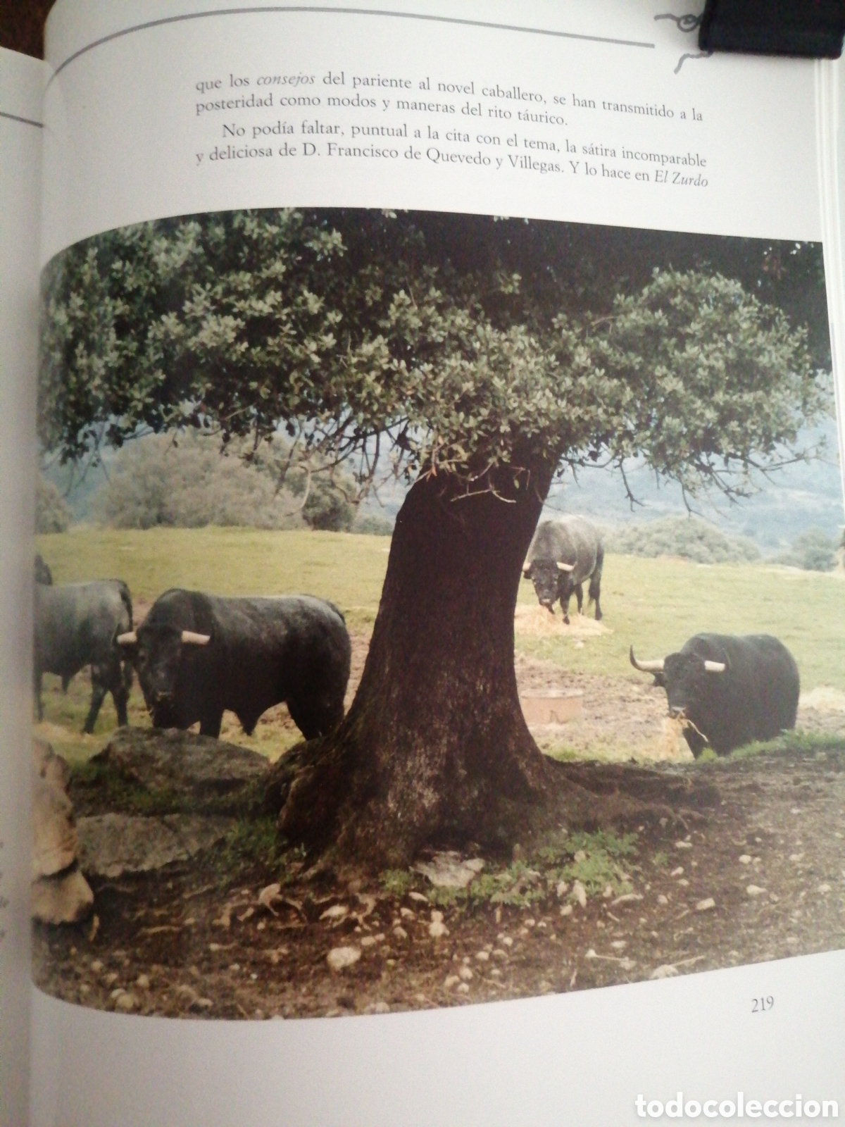 Libros: Dos libros sobre toros de lidia - Foto 17