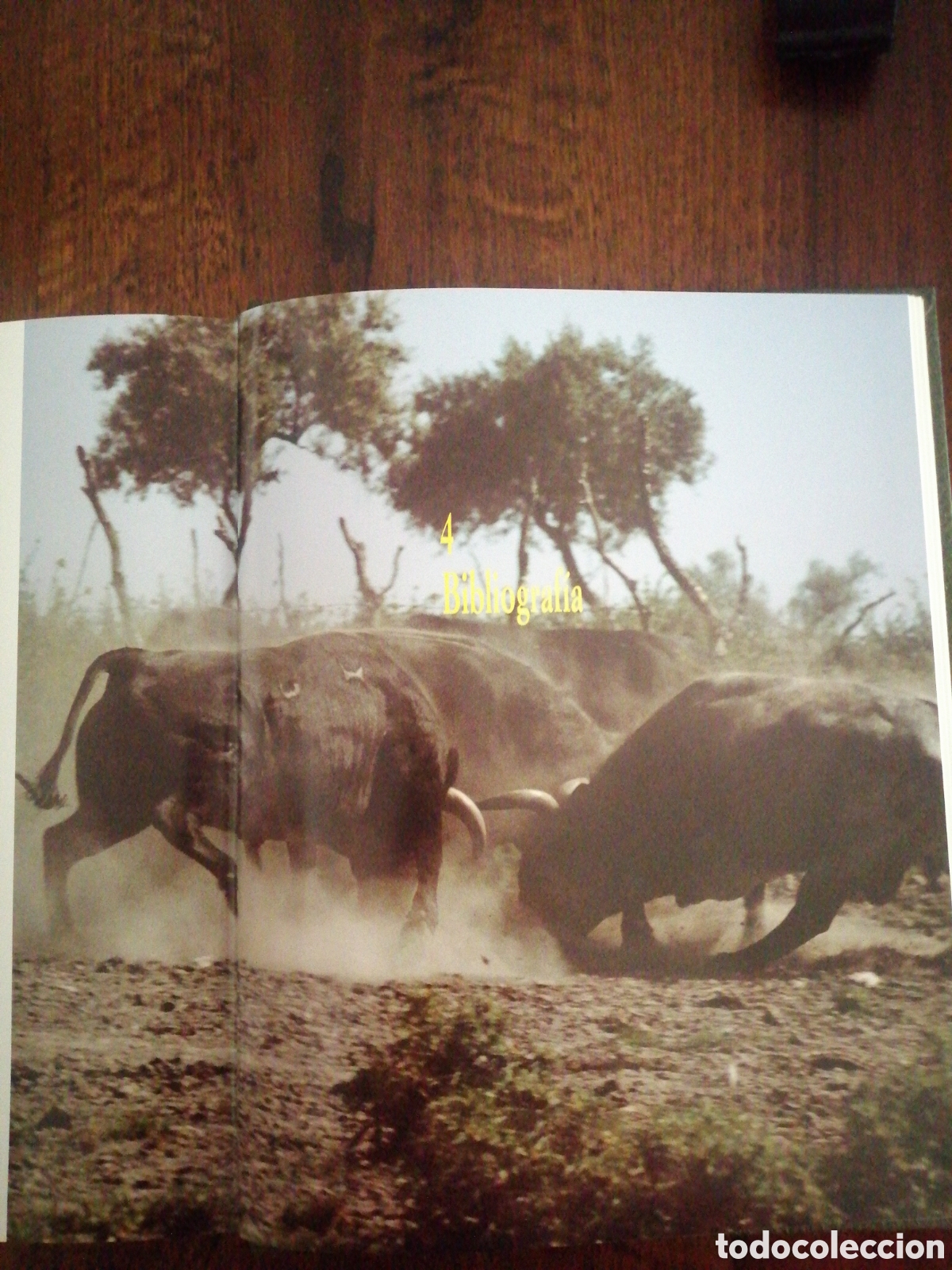 Libros: Dos libros sobre toros de lidia - Foto 18
