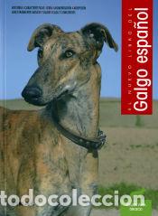 Libros: El Galgo Espa&ntilde;ol - VV.AA - Foto 1