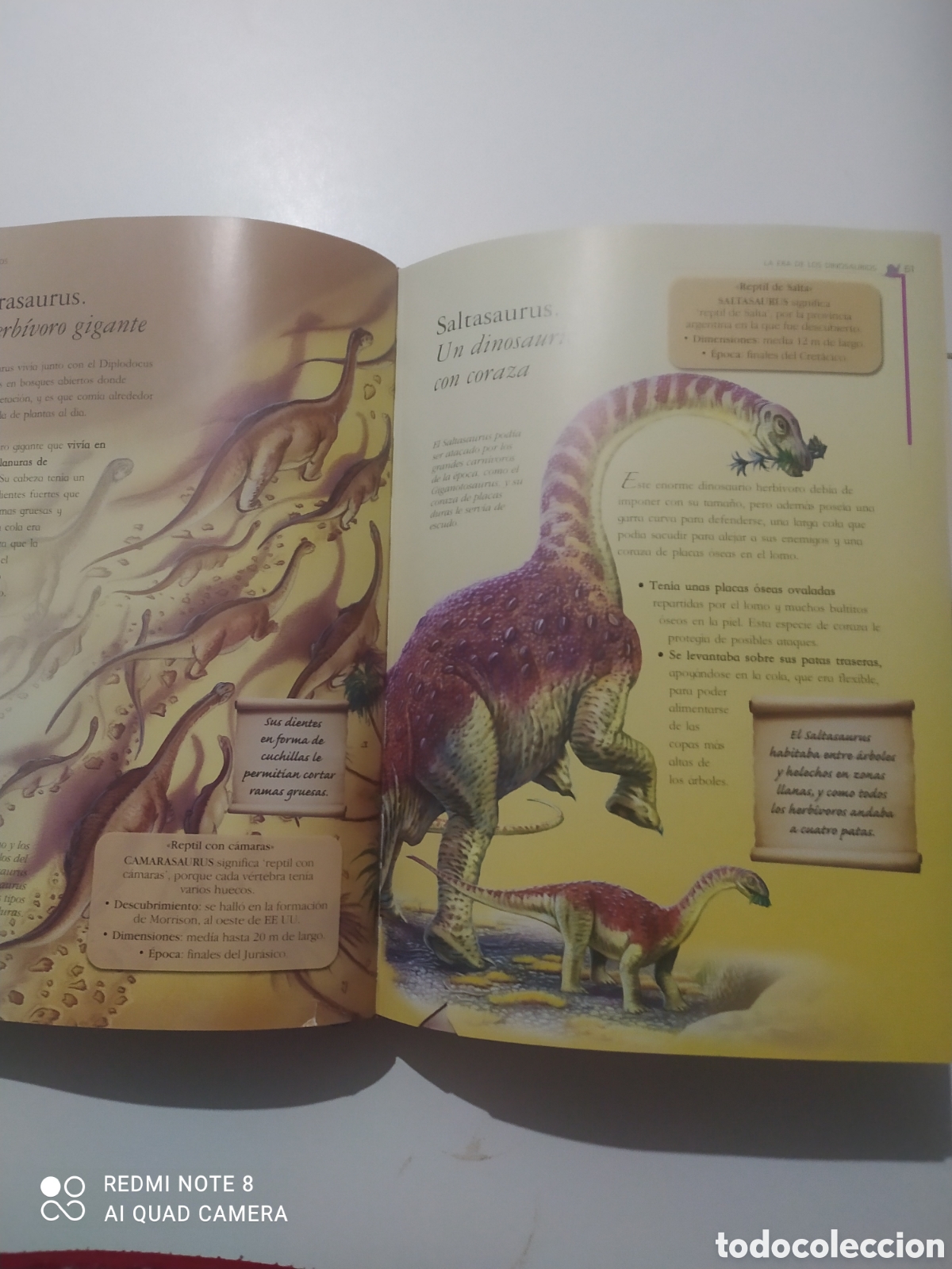 Libros: Libro 101 Dinosaurios. - Foto 3