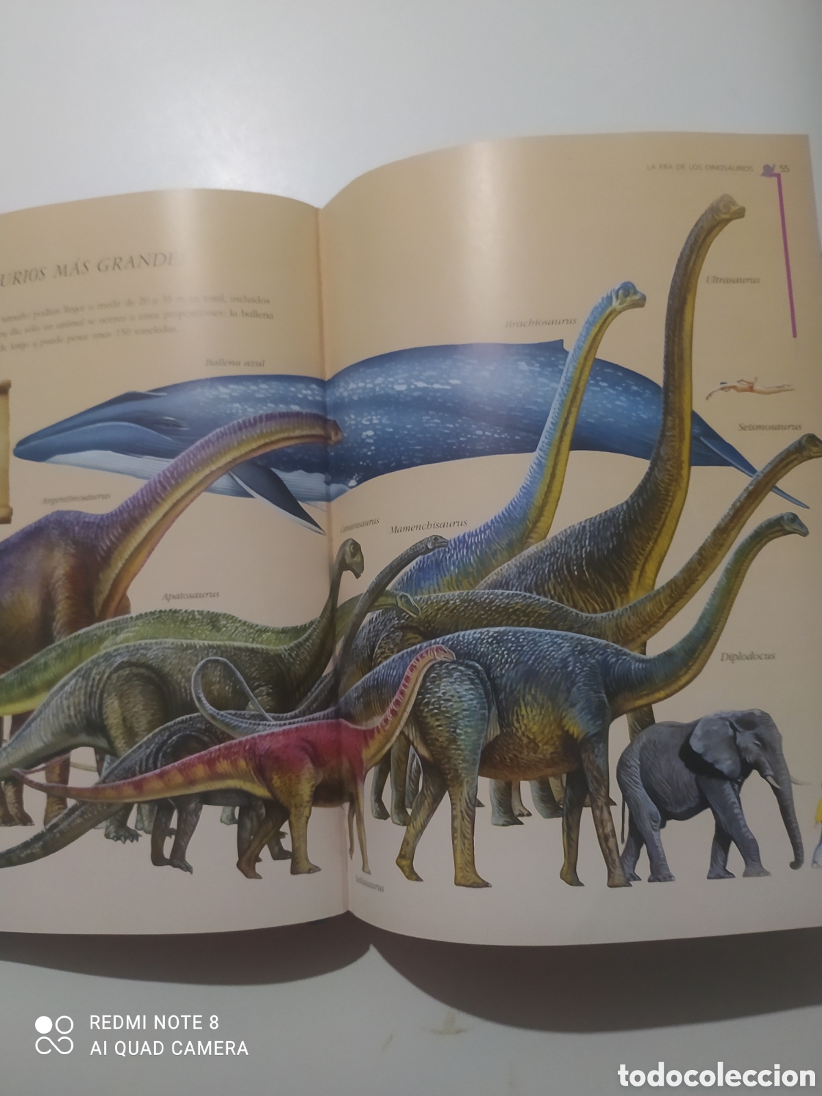 Libros: Libro 101 Dinosaurios. - Foto 4
