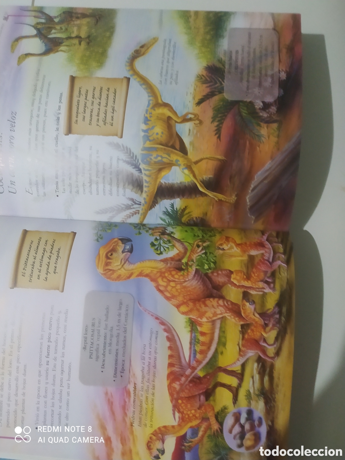 Libros: Libro 101 Dinosaurios. - Foto 5