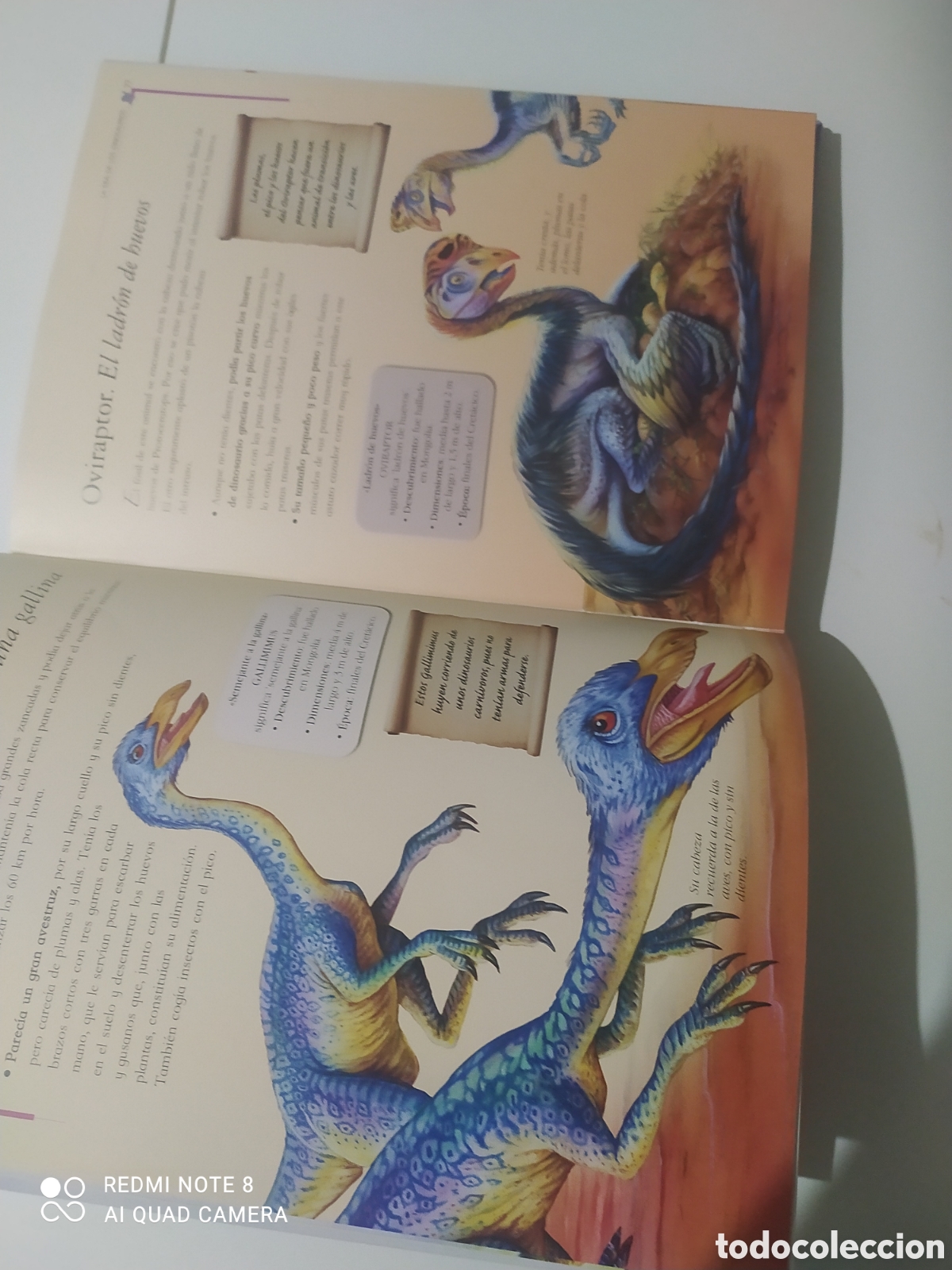 Libros: Libro 101 Dinosaurios. - Foto 6