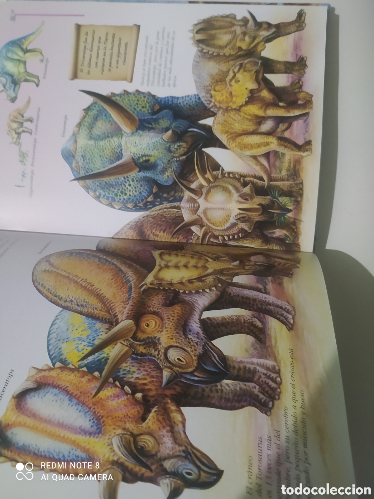 Libros: Libro 101 Dinosaurios. - Foto 7