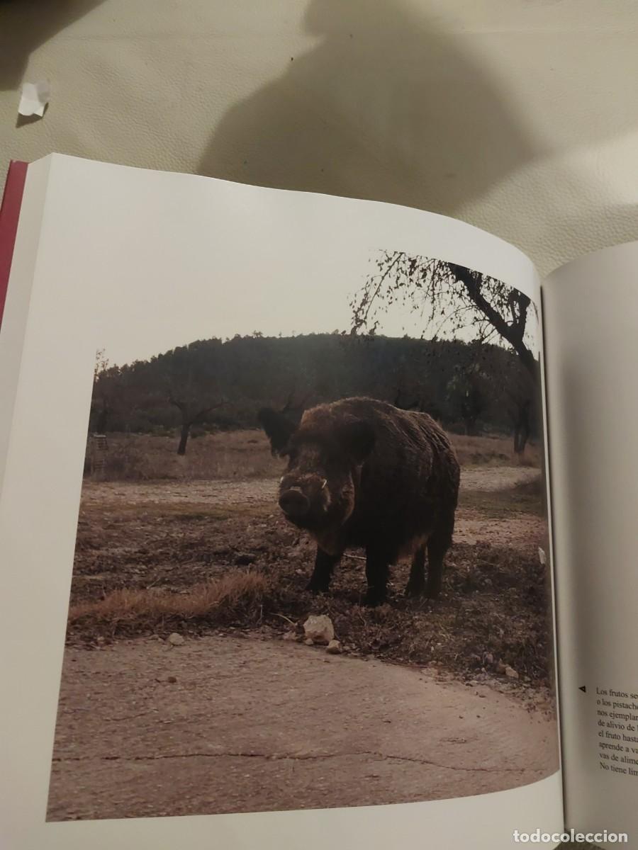 Libros: EL JABALI DE CERCA CAZA - Foto 3