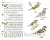 Libri: Birds of Spain - de Juana Aranzana, Eduardo