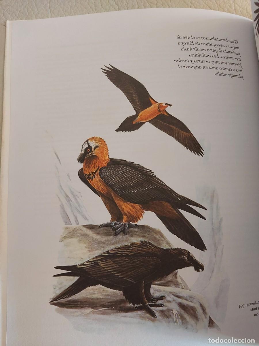 Libros: Josechu Lalanda aves caza - Foto 2