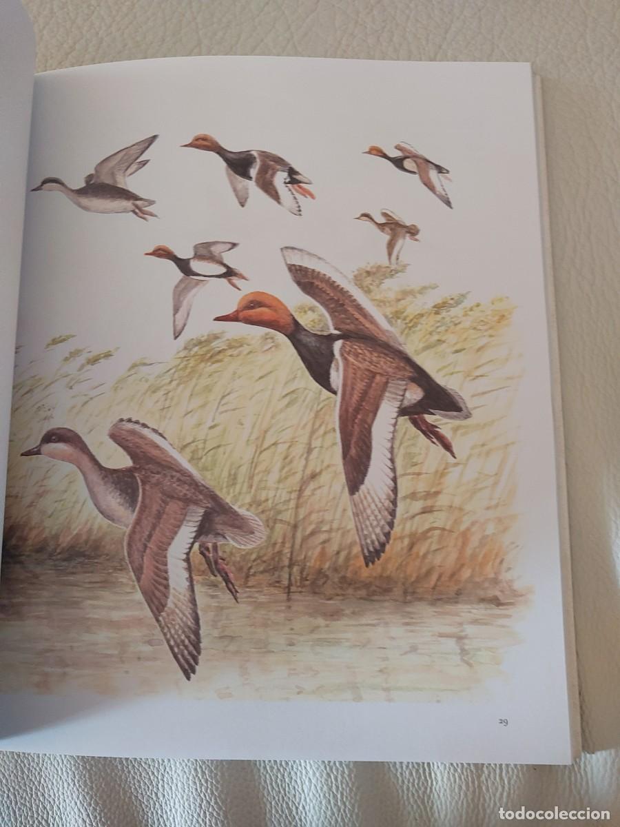 Libros: Josechu Lalanda aves caza - Foto 3