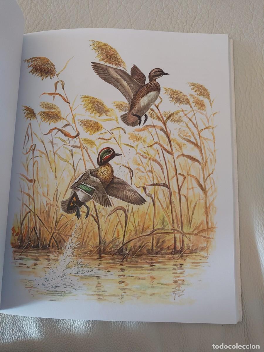Libros: Josechu Lalanda aves caza - Foto 4