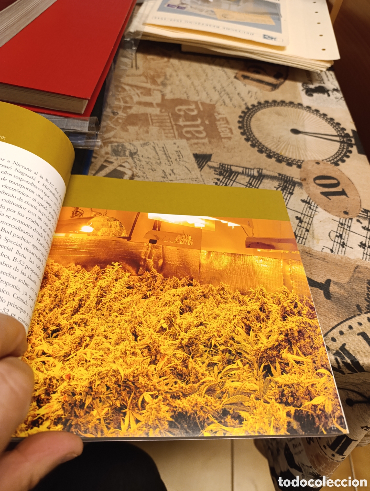 Libros: El gran libro de Cogollos 3 - Foto 4