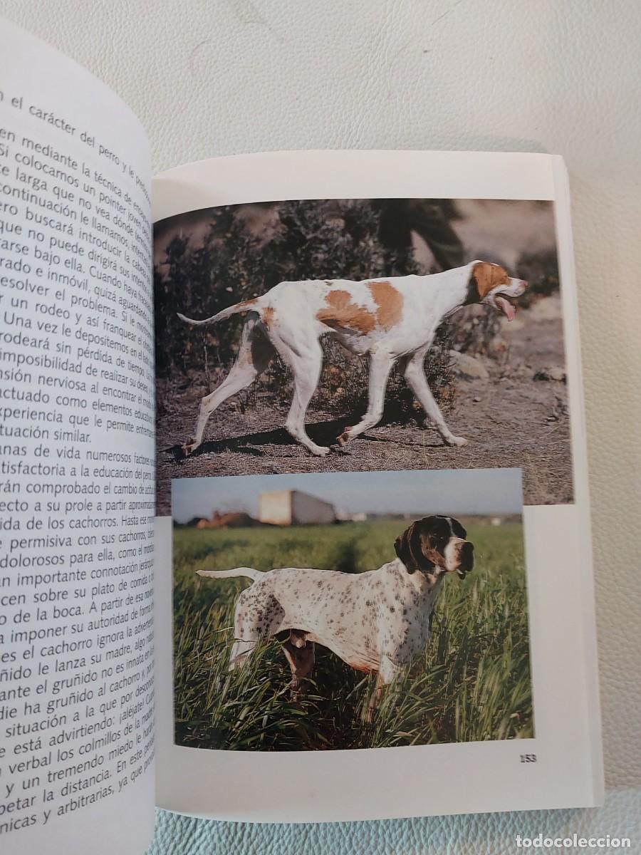 Libros: El pointer en la caza, el adiestramiento y la cr&iacute;a - Foto 4