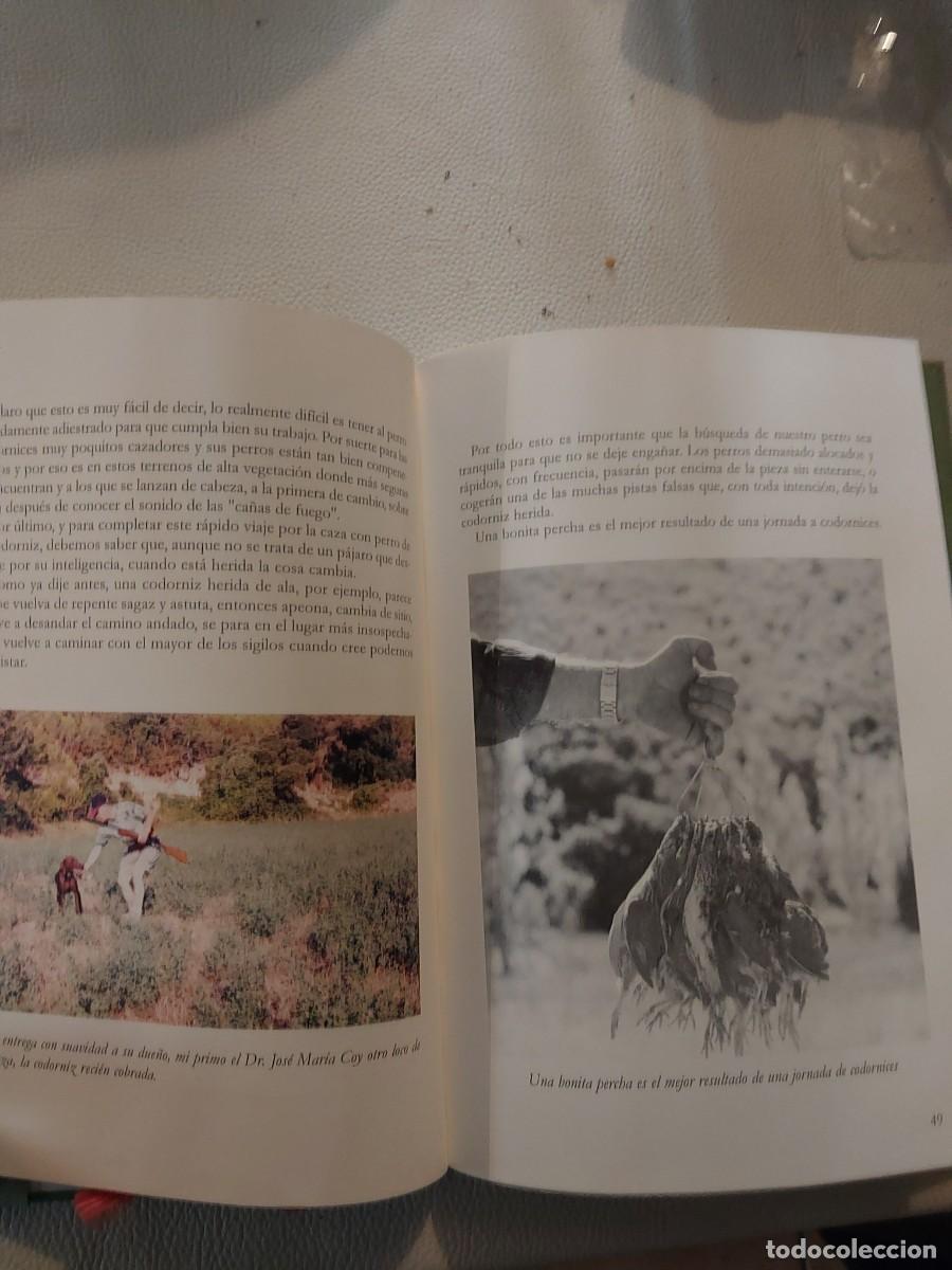 Libros: LA CODORNIZ. ESPECIES, CAZA Y COCINA - Foto 4