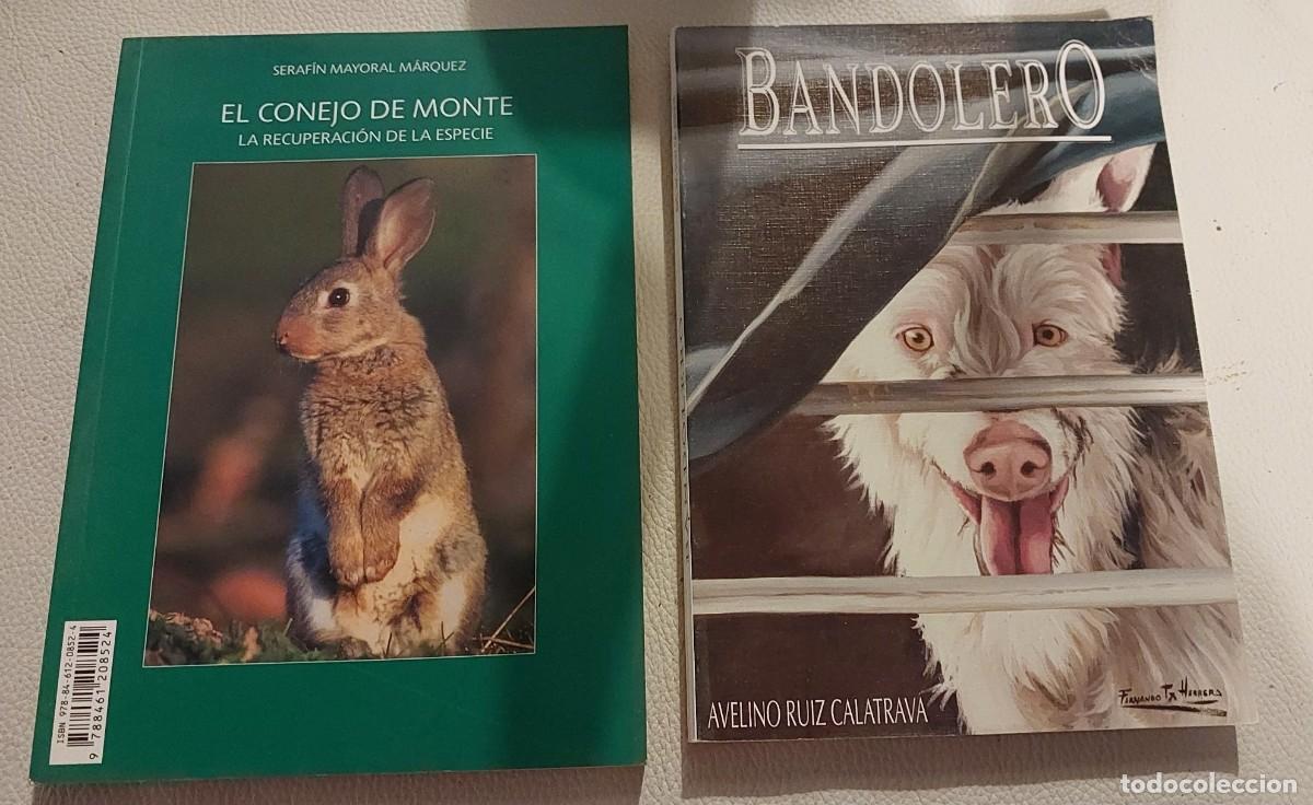 Libros: BANDOLERO + EL CONEJO DE MONTE CAZA - Foto 1
