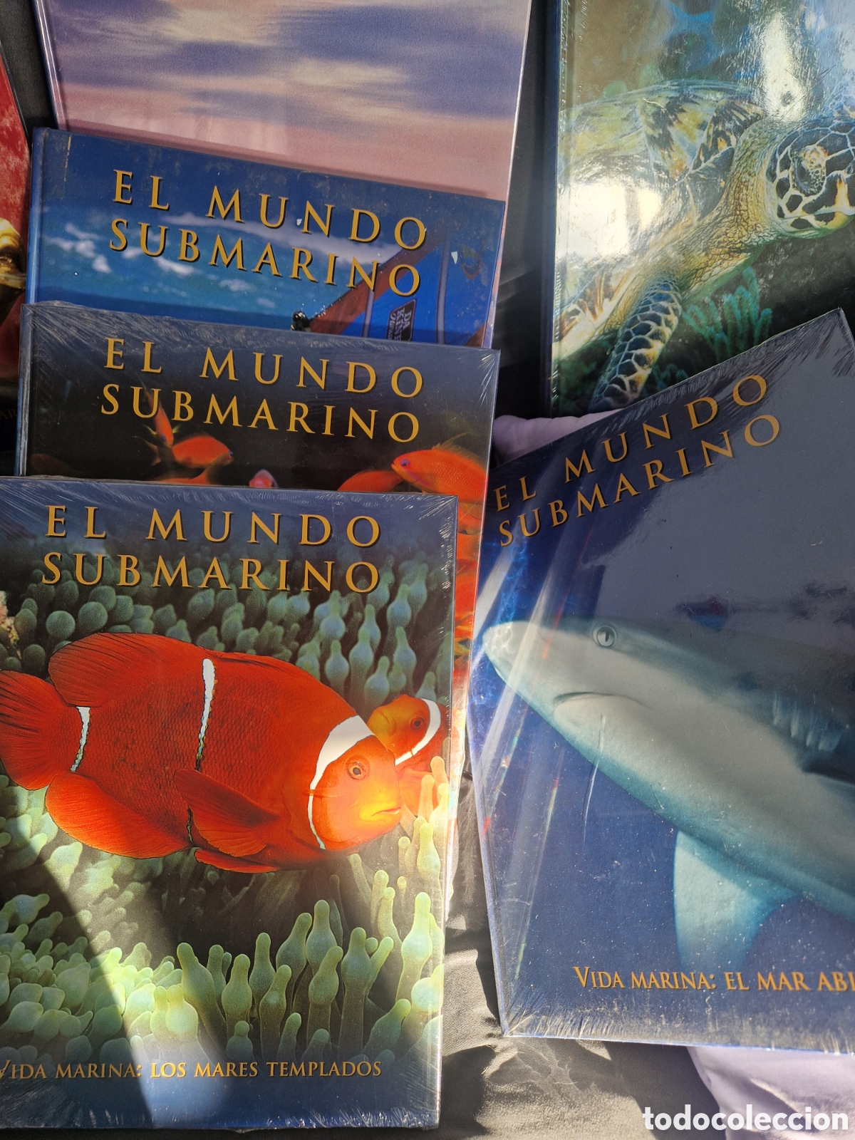 Libros: Libros y DVDs mundo submarino - Foto 5